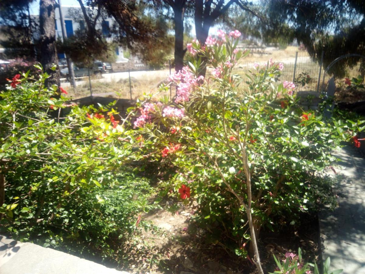 Little Stone House Near The Beach Agios Ioannis  Exterior foto